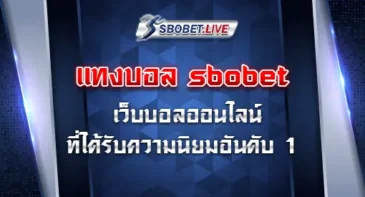 แทงบอล sbobet