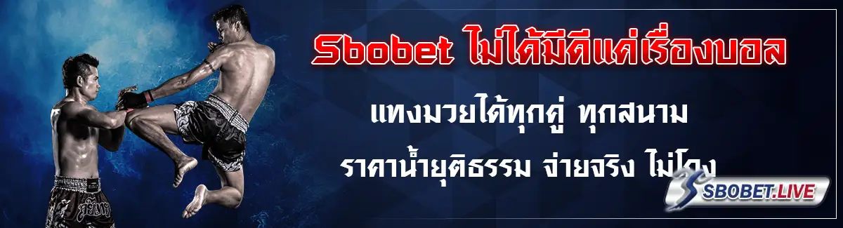 แทงมวยออนไลน์
