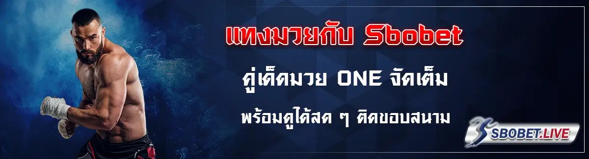 แทงมวย