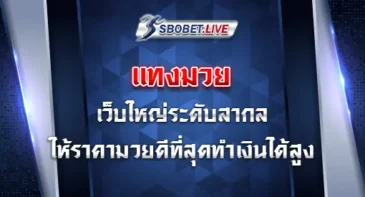 แทงมวย